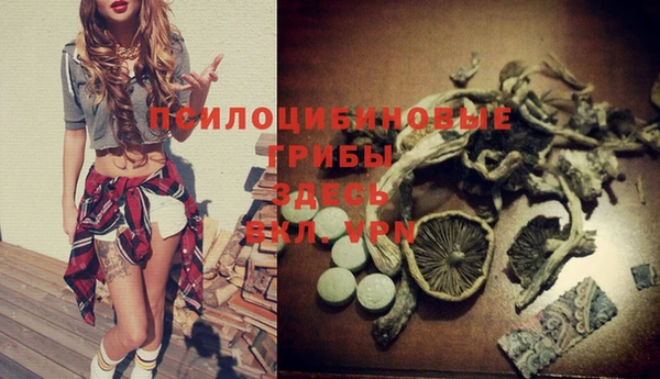 ALPHA-PVP Новозыбков