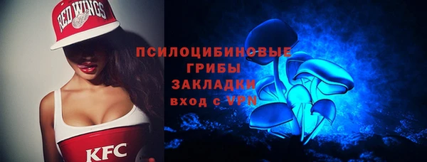 ALPHA-PVP Новозыбков