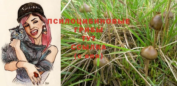 героин Новокубанск