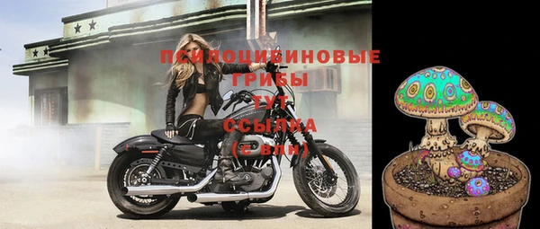 ALPHA-PVP Новозыбков